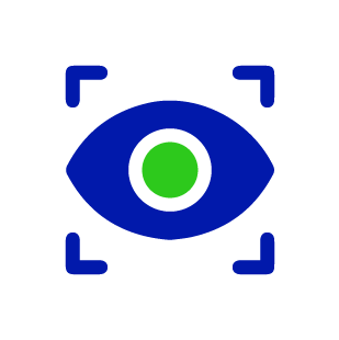 Vision